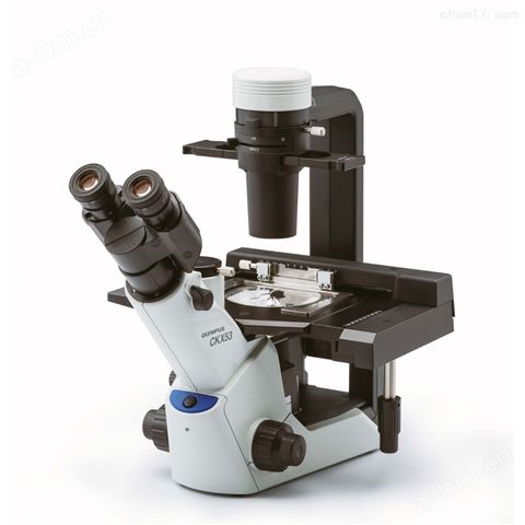 全自动倒置显微镜