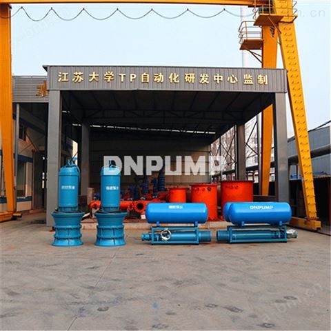 900QZ潜水轴流泵生产厂家