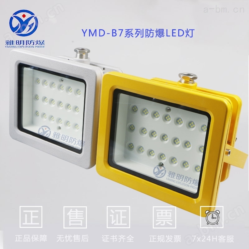 YMD-70W80W100W配电房照明防爆LED吸顶灯